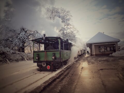 Foto © 2025 Nicola Turnbull